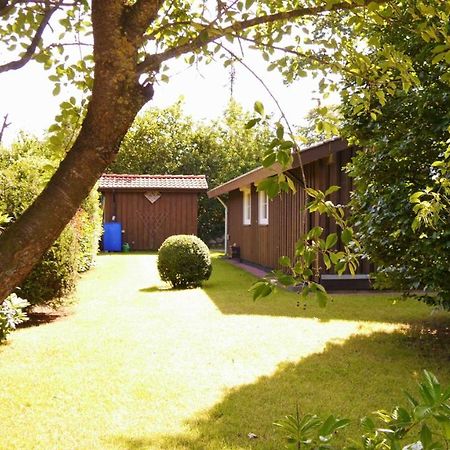 Stolley - Ferienhaus Mit Garten, Kamin Und Sauna Silberstedt Exteriör bild